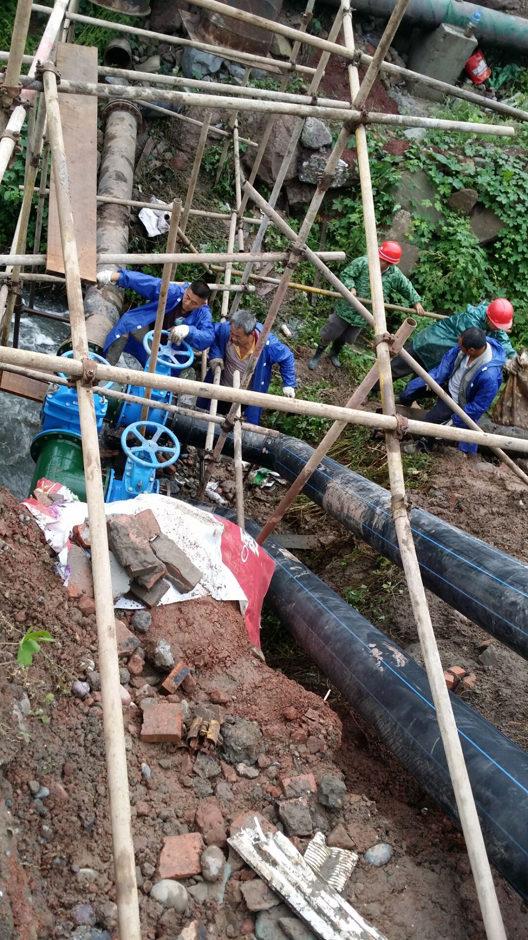 奮戰(zhàn)技改工程 楊灣污水處理廠順利投入試運行