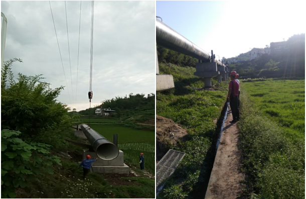 節(jié)物風光不相待，滄海桑田須臾改