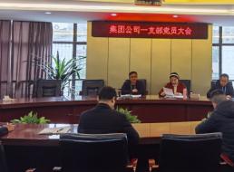 集團(tuán)公司一支部召開(kāi)黨員大會(huì)