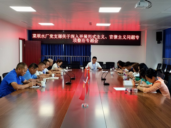 菜壩水廠黨支部召開關于深入開展形式主義、官僚主義問題專項整治專題會