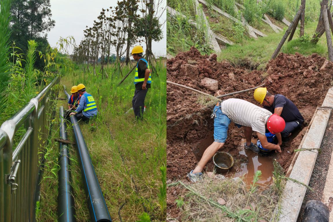 集團公司黨委書記、董事長周燕賓深入基層開展“為群眾辦實事”工作