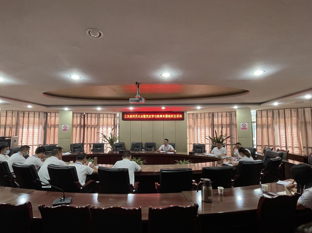 公司三支部召開黨員大會(huì)暨黨史學(xué)習(xí)教育專題組織生活會(huì)