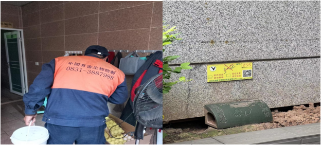 樹文明促健康，綠色環(huán)保護(hù)家園