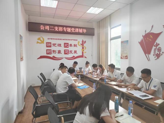 公司二支部開展“齊力共進、強企有我” 主題黨日活動