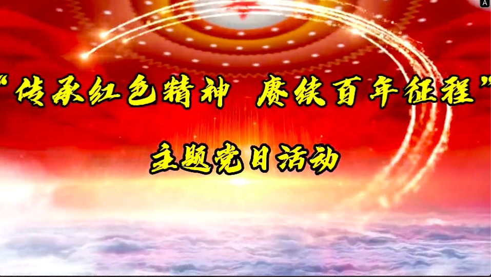 傳承紅色精神，賡續(xù)百年征程-共產(chǎn)黨員服務(wù)大隊主題黨日活動