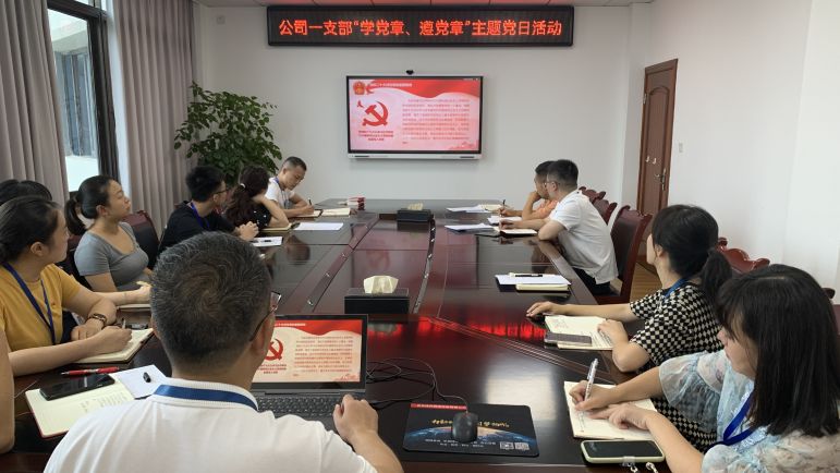 清源水務公司黨委組織開展“學黨章、遵黨章”系列主題黨日活動