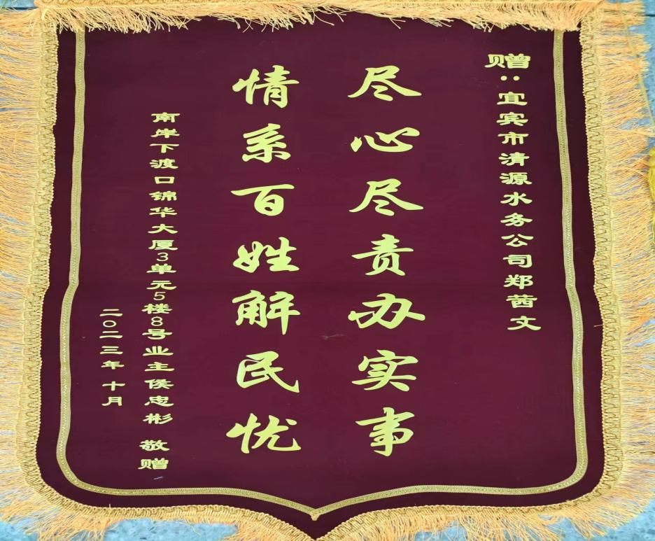 盡心盡責(zé)辦實(shí)事，為民解憂獲贊揚(yáng)